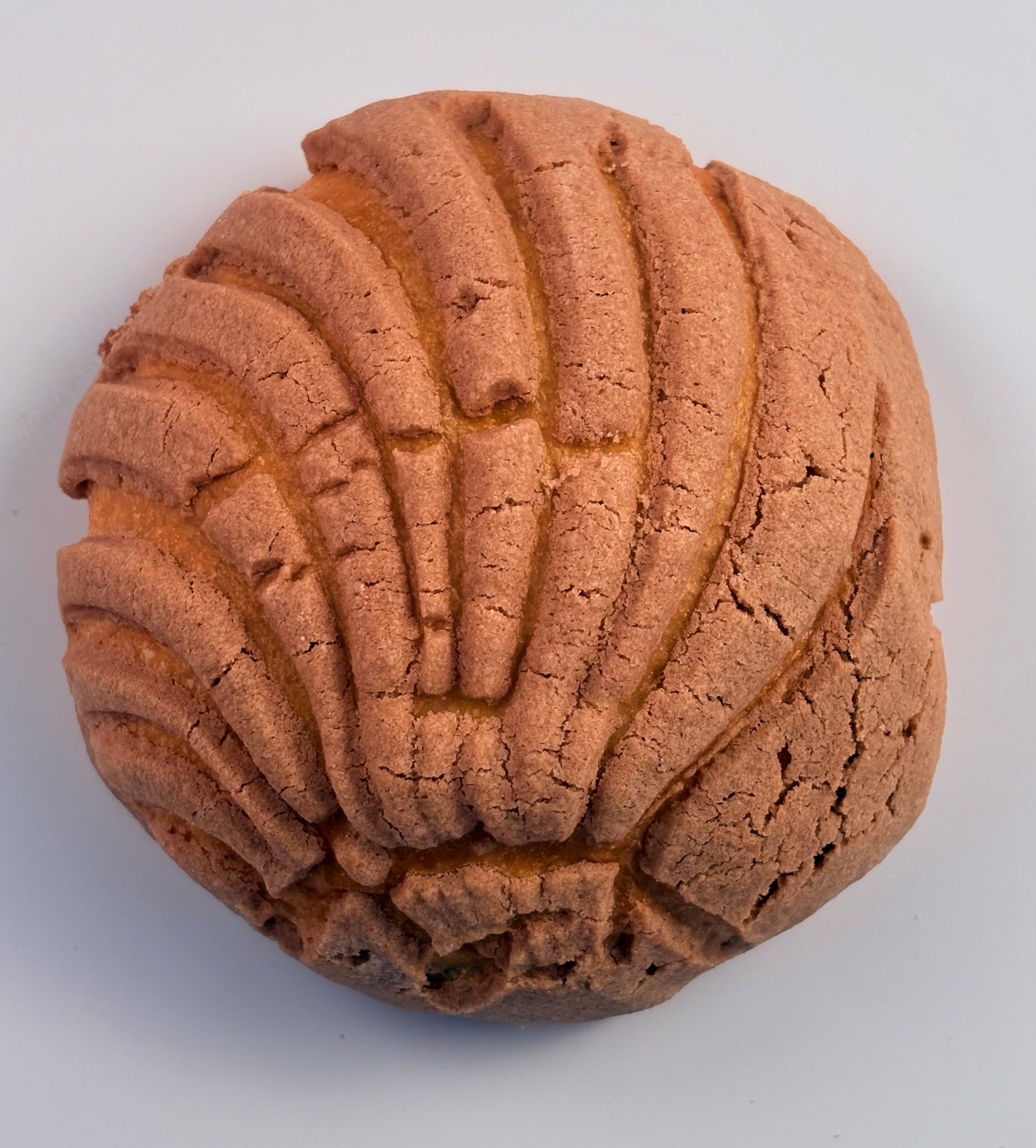Concha de Chocolate