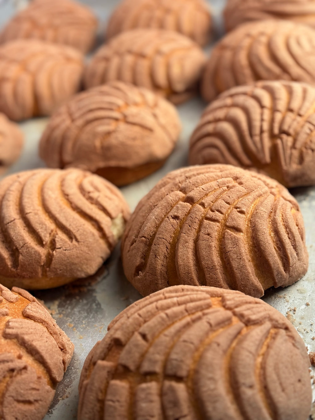 Concha de Chocolate