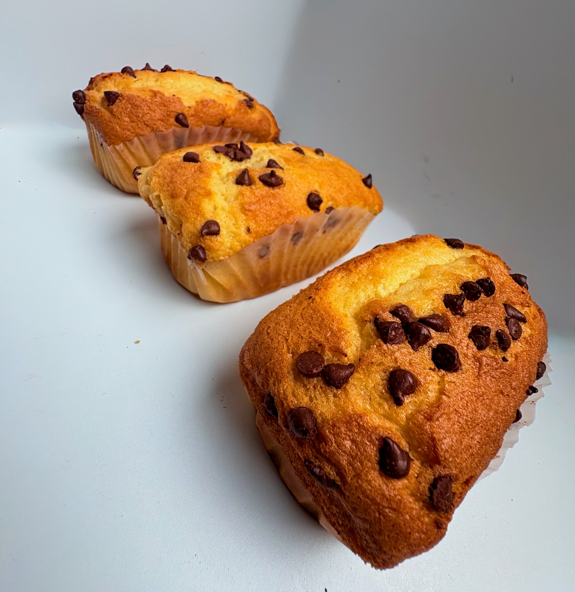 Mantecada Chispa de Chocolate / Chocolate Chip Mantecada