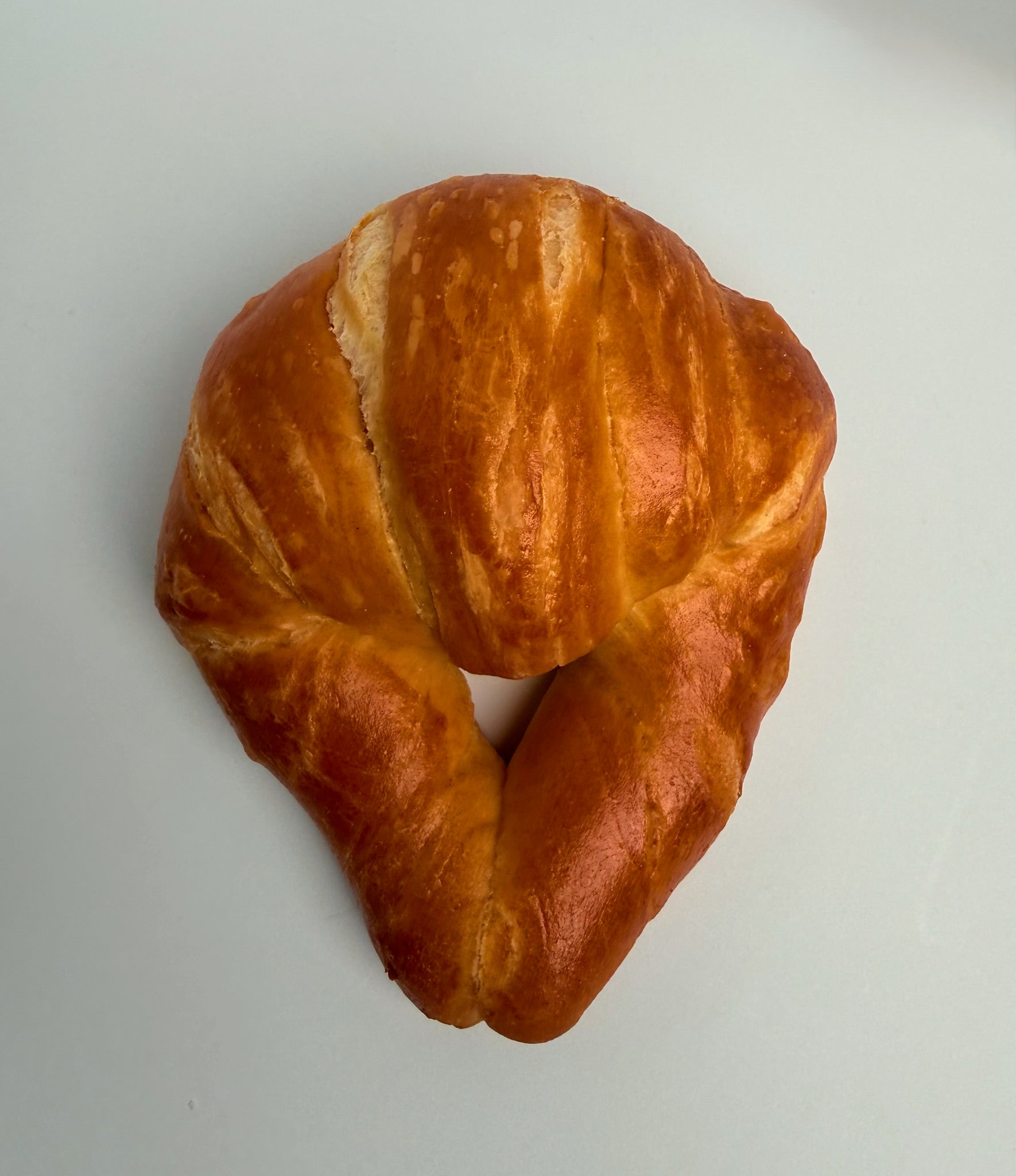 Danish Horn/ Cuerno de Danes