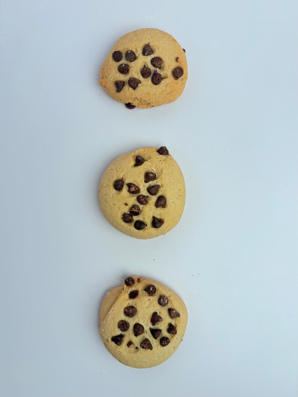 Galleta de Chispas de Chocolate / Mexican Chocolate Chip Cookie (Set of 3)