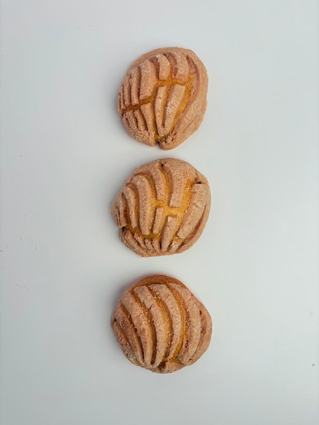 Mini Concha Chocolate (Set of 3)