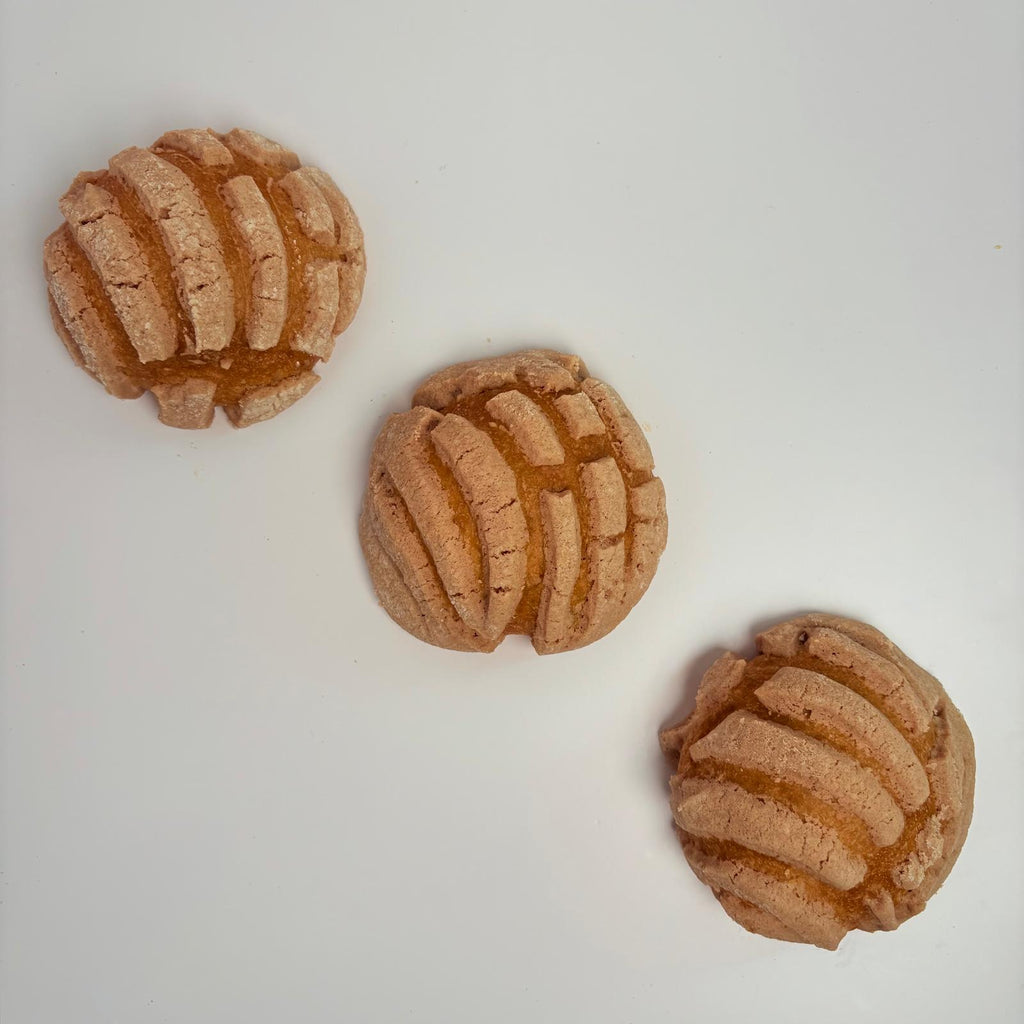 Mini Concha Chocolate (Set of 3)